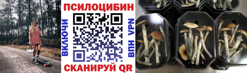 купить закладку  Разумное  Псилоцибиновые грибы GOLDEN TEACHER 